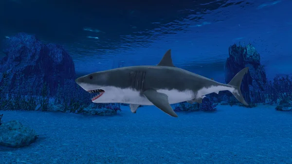 3D CG rendering of a shark — Stock Photo, Image