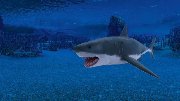 3D CG rendering of a shark — Stock Photo, Image