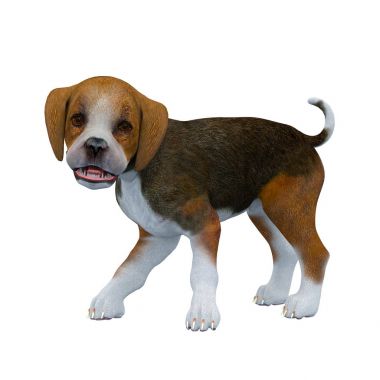 3d cg işleme bir Beagle