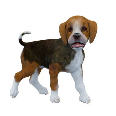3d cg işleme bir Beagle