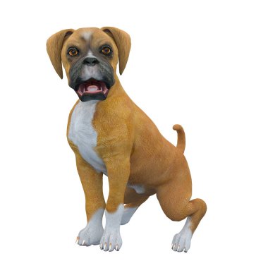 3d cg işleme bir köpek