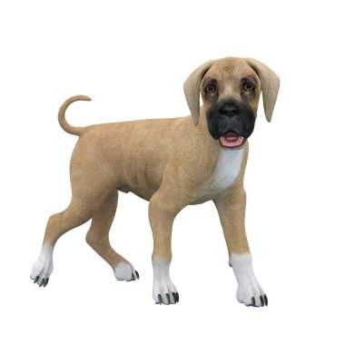 3d cg işleme bir köpek