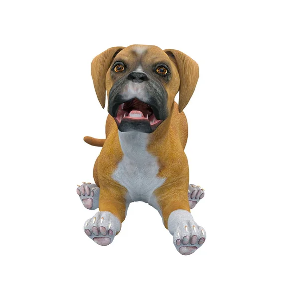3D vykreslování cg psa — Stock fotografie