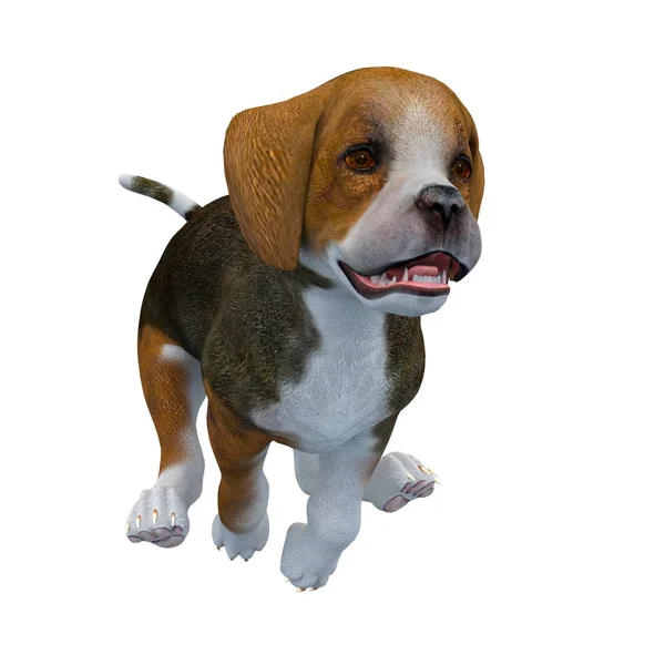 3D vykreslování cg Beagle — Stock fotografie