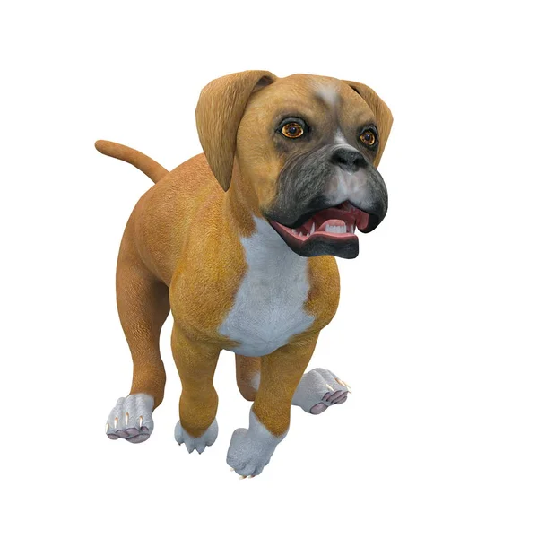 Rendering CG 3D di un cane — Foto Stock