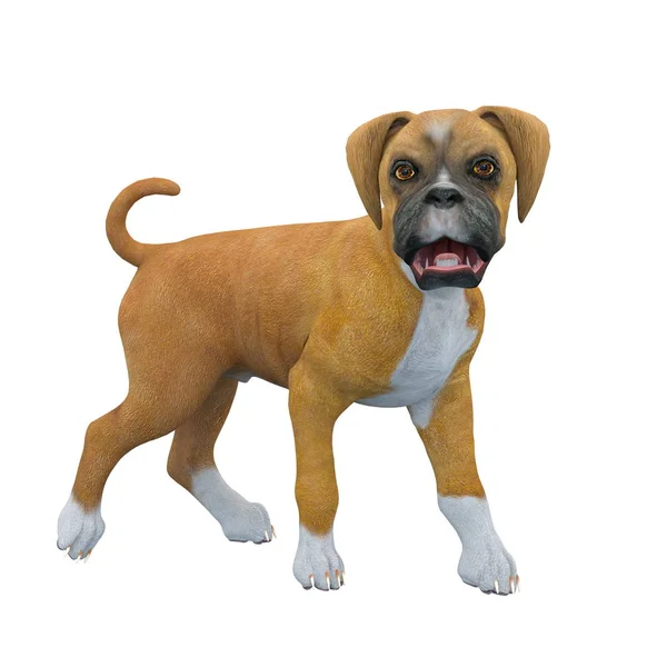 3D-cg rendering van een hond — Stockfoto