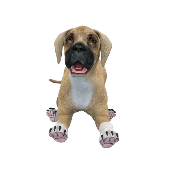 3D CG візуалізація собаки — стокове фото