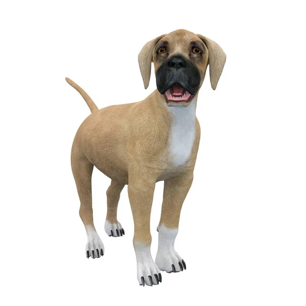 Rendering CG 3D di un cane — Foto Stock