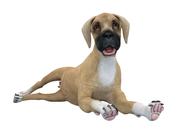 3D-cg rendering van een hond — Stockfoto