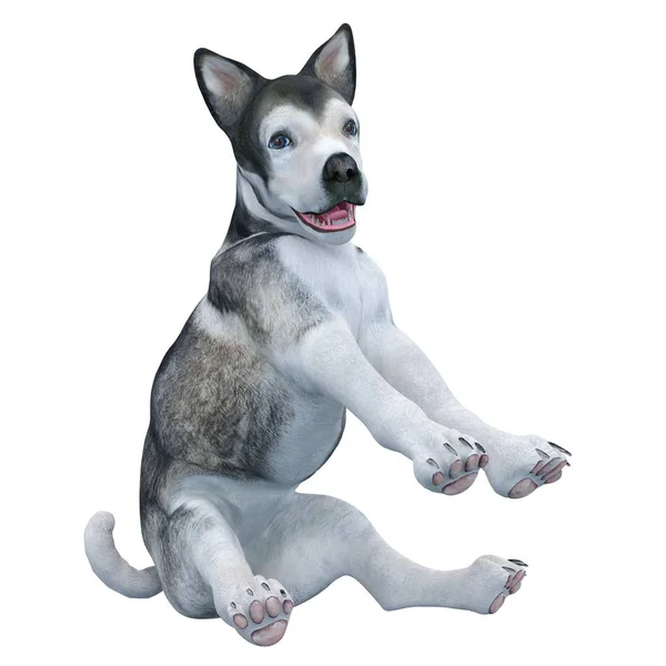 3D cg-rendering av en hund — Stockfoto
