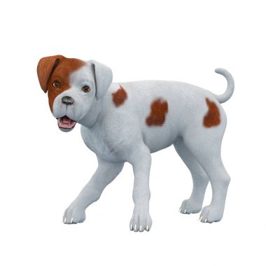 3d cg işleme bir köpek