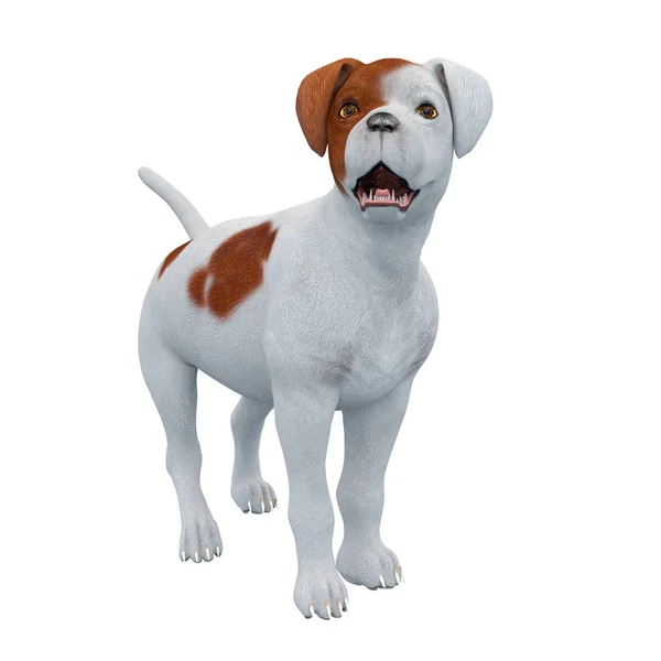 3D CG-рендеринг собаки — стоковое фото