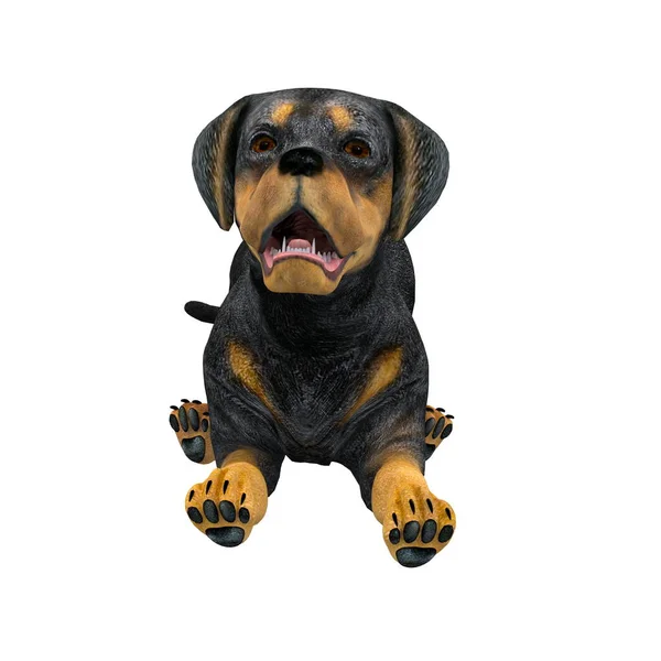 3D-s cg visszaadás-ból egy kutya — Stock Fotó