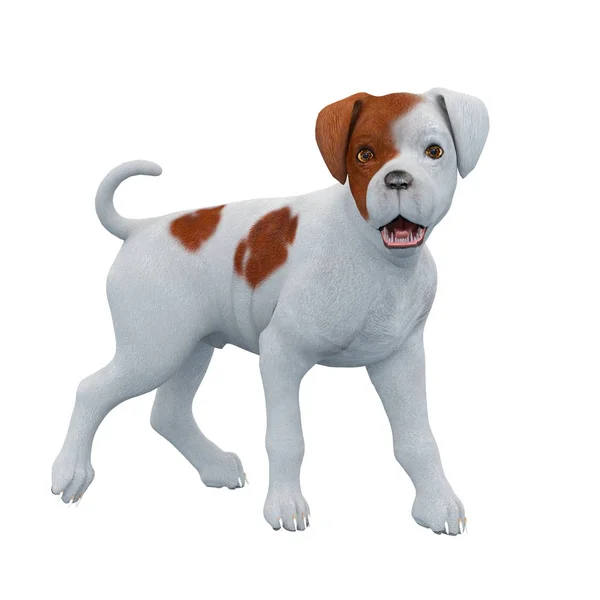 3D CG rendering of a dog — Stock Photo, Image