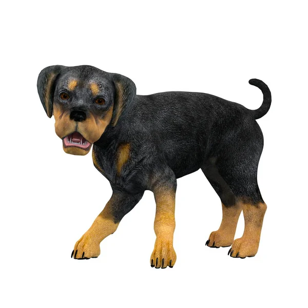 3D cg Darstellung eines Hundes — Stockfoto