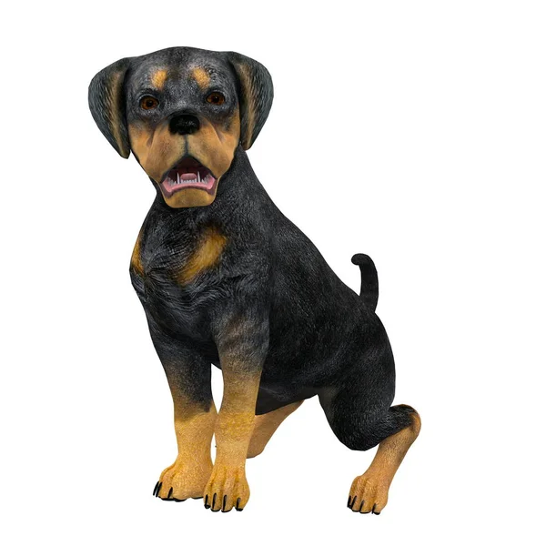 3D-cg rendering van een hond — Stockfoto