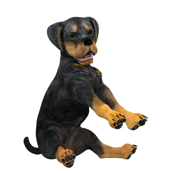3D CG renderização de um cão — Fotografia de Stock