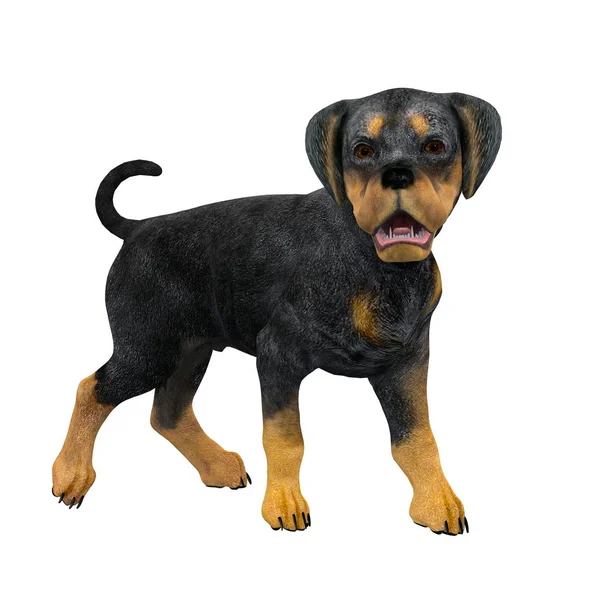 3D CG-рендеринг собаки — стоковое фото