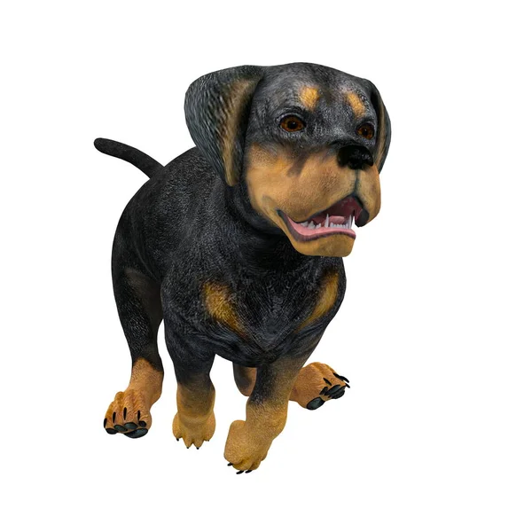 3D vykreslování cg psa — Stock fotografie