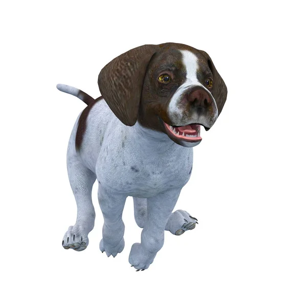 Rendering CG 3D di un cane — Foto Stock