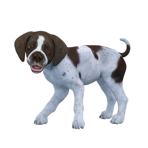 3D-s cg visszaadás-ból egy kutya — Stock Fotó