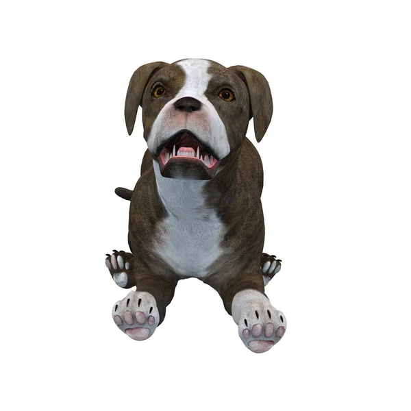3D CG rendering of a dog — Stock Photo, Image