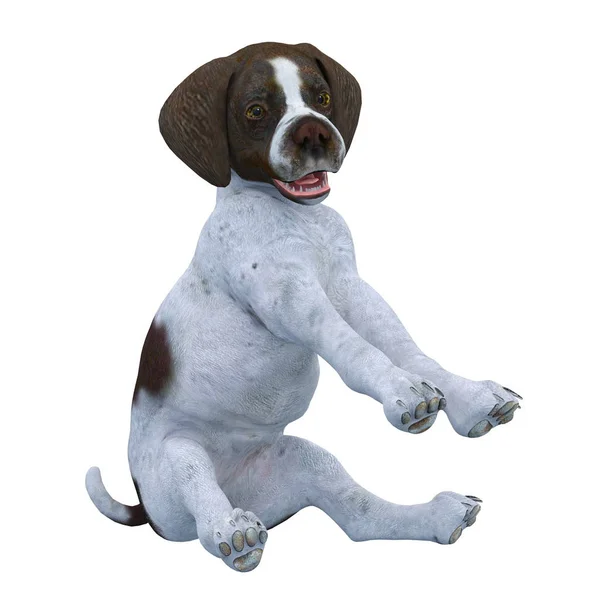 3D cg-rendering av en hund — Stockfoto