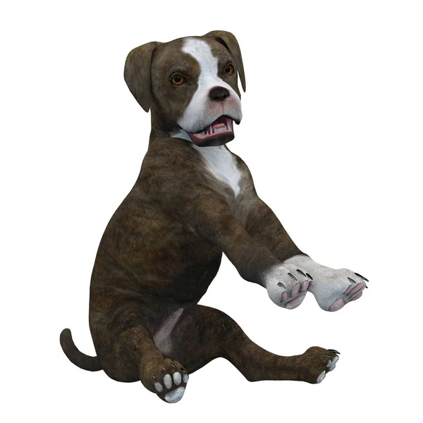 3D CG rendering of a dog — Stock Photo, Image