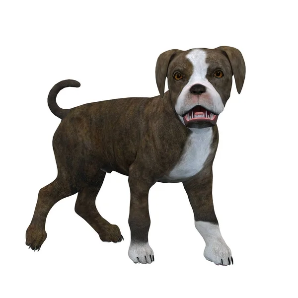 3D cg-rendering av en hund — Stockfoto