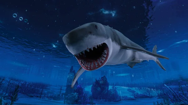 3D CG rendering of a shark — Stock Photo, Image