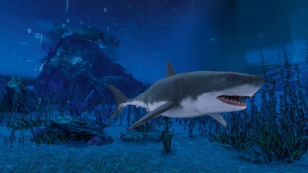 Bir köpekbalığı 3d cg render — Stok fotoğraf