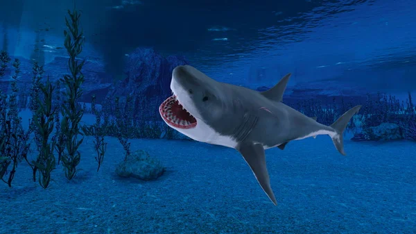 Renderowania 3D cg rekina — Zdjęcie stockowe