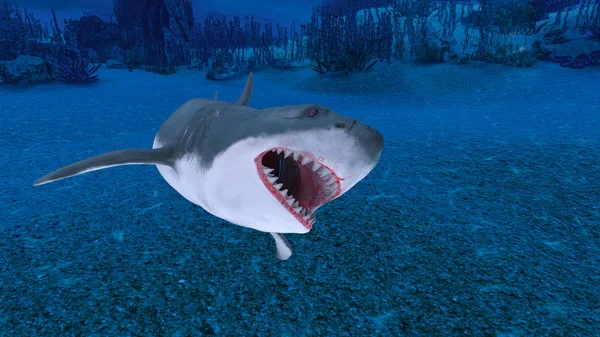 3D CG rendering of a shark — Stock Photo, Image