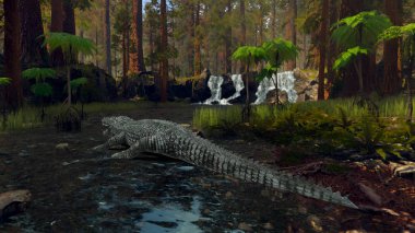 3d cg işleme bir timsah