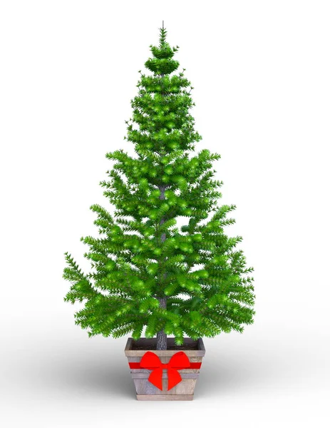 3D CG renderização de uma árvore de Natal — Fotografia de Stock