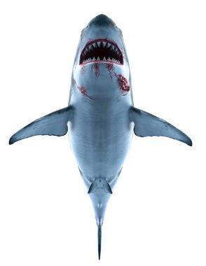 bir köpekbalığı 3d cg render