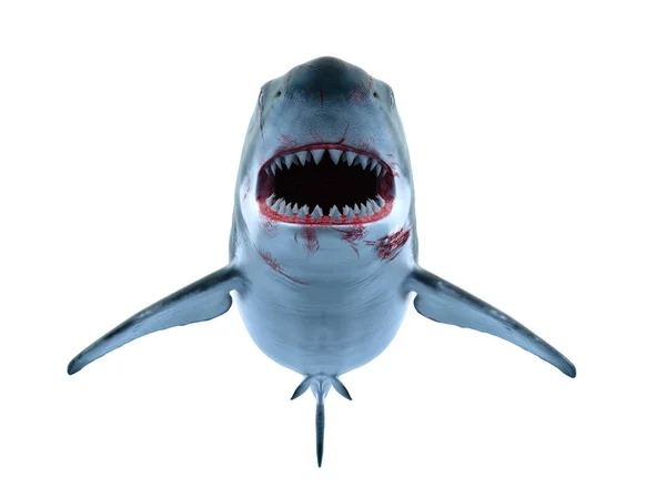 Απόδοσης 3D cg του καρχαρία — Φωτογραφία Αρχείου