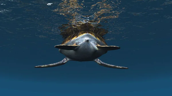 Rendering Havssköldpadda — Stockfoto