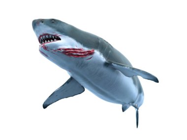 bir köpekbalığı 3d cg render.