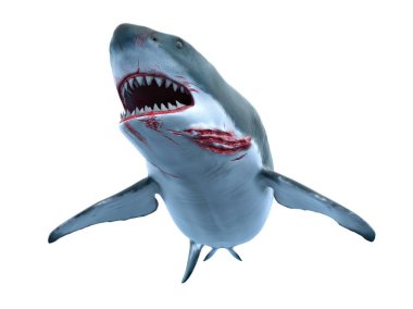 bir köpekbalığı 3d cg render.