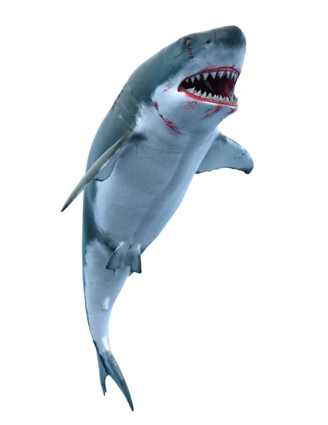 Representación Tiburón —  Fotos de Stock