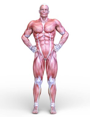 bir erkek yatıyordu şekil 3d cg render.