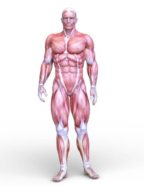 bir erkek yatıyordu şekil 3d cg render.