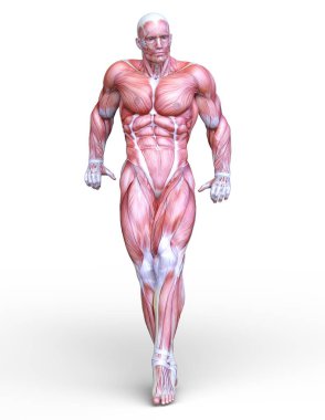 erkek yatıyordu figürü