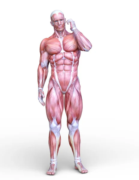 Rendering Male Lay Figure — Stock Photo, Image