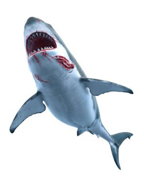 bir köpekbalığı 3d cg render.