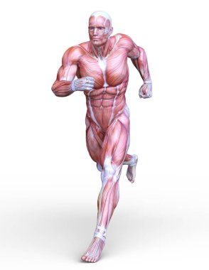 bir erkek yatıyordu şekil 3d cg render.