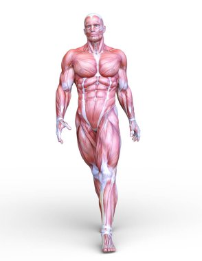 bir erkek yatıyordu şekil 3d cg render.