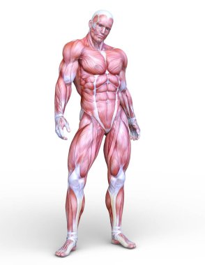 bir erkek yatıyordu şekil 3d cg render.