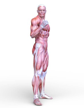 bir erkek yatıyordu şekil 3d cg render.